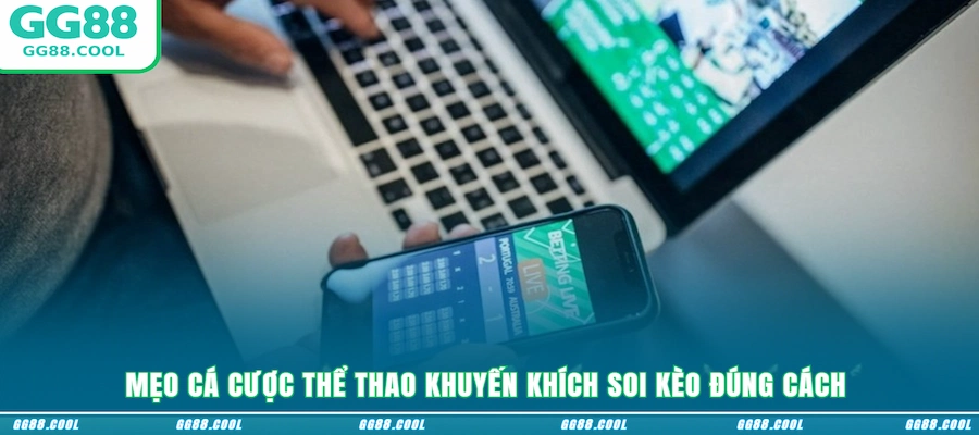 Mẹo cá cược thể thao khuyến khích soi kèo đúng cách